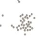 0.25g Bio Precision BBs 5600rds