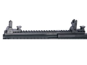 ASG Detachable Front and Rear Flip-up RIS Rail Sight - Black ASG Detachable Front and Rear Flip-up RIS Rail Sight - Black