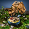 AM KIDS Swedish meatballs with mashed potatoes (250 g) AM KIDS Swedish meatballs with mashed potatoes (250 g)