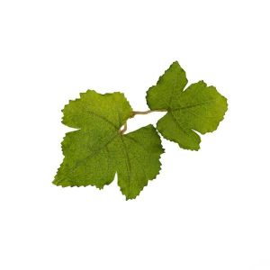 Novritsch LEAF CAMO 3D Leaves LC1, 40 Pcs – Fern Novritsch LEAF CAMO 3D Leaves LC1, 40 Pcs – Fern
