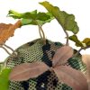 Novritsch LEAF CAMO 3D Leaves LC1, 40 Pcs – Fern