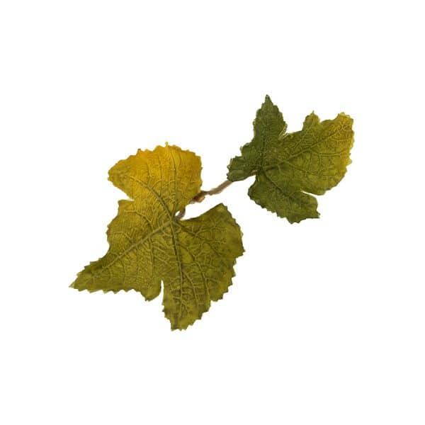 Novritsch LEAF CAMO 3D Leaves LC1, 40 Pcs – Lime Novritsch LEAF CAMO 3D Leaves LC1, 40 Pcs – Lime
