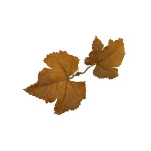 Novritsch LEAF CAMO 3D Leaves LC1, 40 Pcs – Sienna Novritsch LEAF CAMO 3D Leaves LC1, 40 Pcs – Sienna