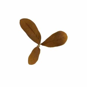 Novritsch LEAF CAMO 3D Leaves LC2, 40 Pcs – Peat