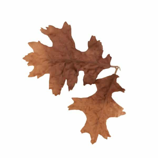 Novritsch LEAF CAMO 3D Leaves LC4, 40 Pcs – Bronze
