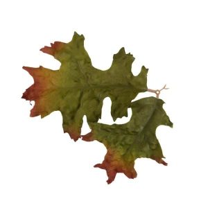 Novritsch LEAF CAMO 3D Leaves LC4, 40 Pcs – Wood Novritsch LEAF CAMO 3D Leaves LC4, 40 Pcs – Wood