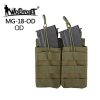 WST Open MOLLE Pouch for 2 × G36 Magazines – Green