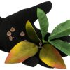 Novritsch LEAF CAMO 3D Leaves LC3, 40 Pcs – Cider Novritsch LEAF CAMO 3D Leaves LC3, 40 Pcs – Cider