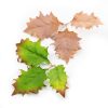 Novritsch LEAF CAMO 3D Leaves LC5, 40 Pcs – Ivory