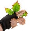 Novritsch LEAF CAMO 3D Leaves LC5, 40 Pcs – Ivory