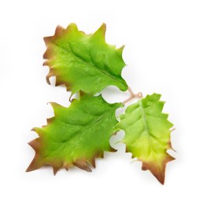 Novritsch LEAF CAMO 3D Leaves LC5, 40 Pcs – Willow Novritsch LEAF CAMO 3D Leaves LC5, 40 Pcs – Willow