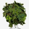 KMCS Helmet Cover – Next-Gen Green