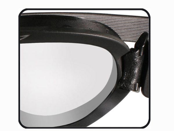 Goggles NERVE smoke grey + clear/Matte black frame