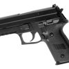 WE P229R Full Metal GBB Black
