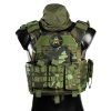 ITS TATTICO SPIDER Modular Plate Carrier - vz.95