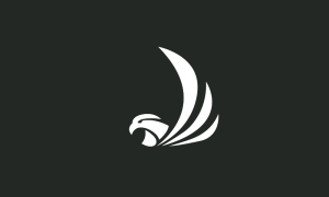 FALCON
