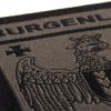 Clawgear Burgenland Shield Patch RAL7013