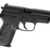 WE P229 Full Metal GBB Black