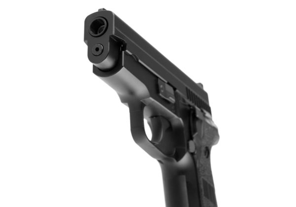 WE P229 Full Metal GBB Black