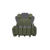 WAS DCS Elite Ops Plate Carrier, AR15 Open Pouches - Green WAS DCS Elite Ops Plate Carrier, AR15 Open Pouches - Green