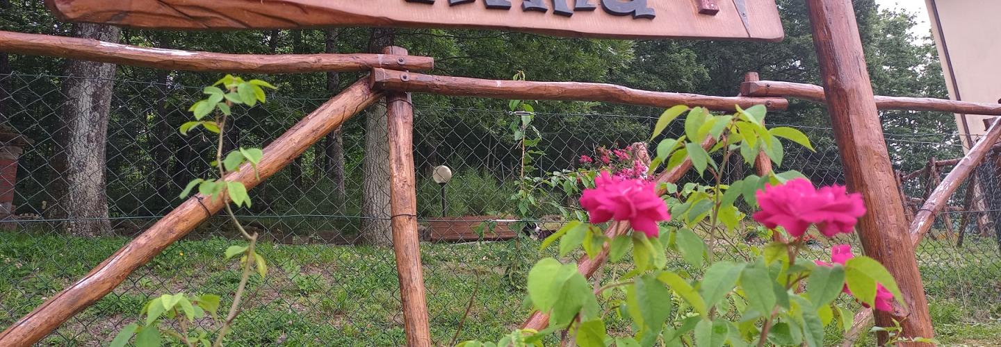 La Casa di Alma