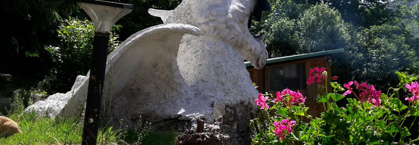 Il Drago Bianco