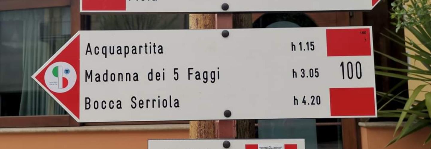 SI N17