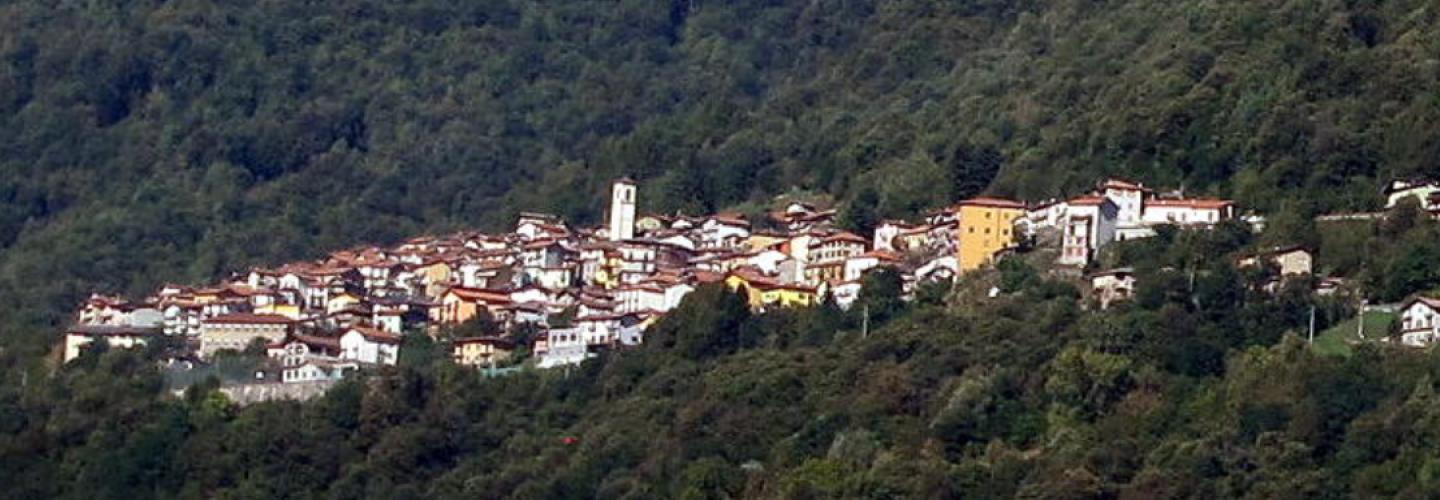 SI D13N